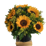 arreglo-cumpleanos-girasoles-cali
