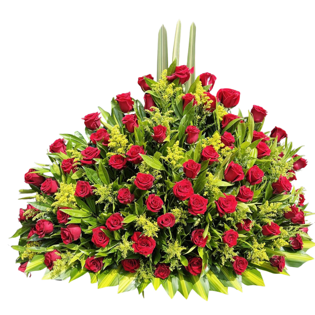 Arreglo de cumpleaños con rosas rojas y follaje verde en Cali